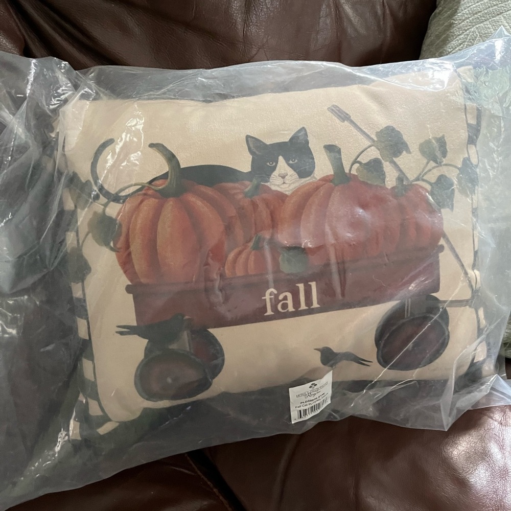 Fall Holiday Cat and pumpkin pillow